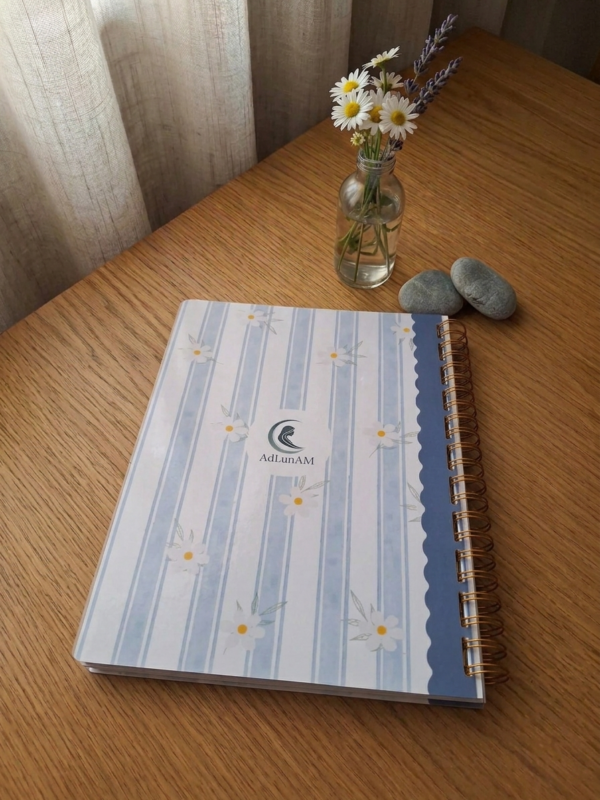 Cuaderno de PROFESOR